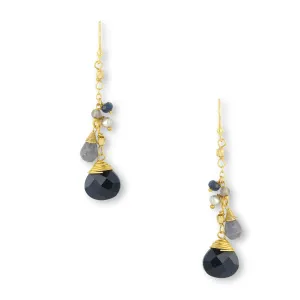 Dana Earrings Navy