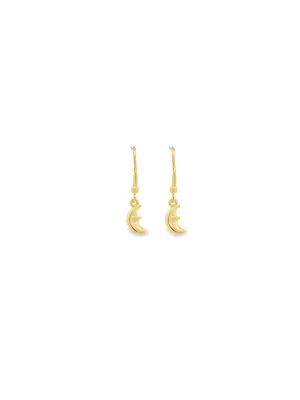 Small Crescent Moon Fish Hook Earrings